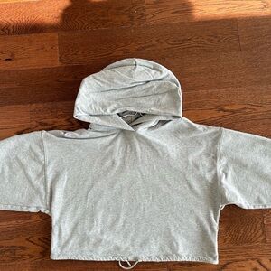 The Group by Babaton draw string cropped hoodie